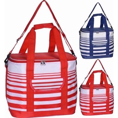 COOLER-BAG-12LTR-ASSTD_COOLER_BAG_12LTR_ASSORTED_.jpeg