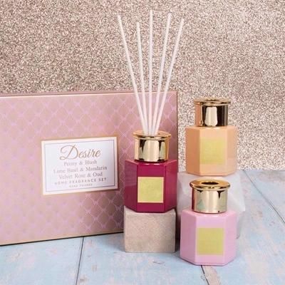 DIFFUSER-DESIRE-SET_DIFFUSER_DESIRE_SET_.jpeg