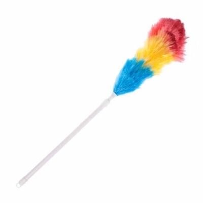 EXTENDING-DUSTER_EXTENDING_DUSTER_.jpeg