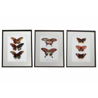 FRAME-WITH-BUTTERFLIES-50X40_FRAME_WITH_BUTTERFLIES_50X40_.jpeg