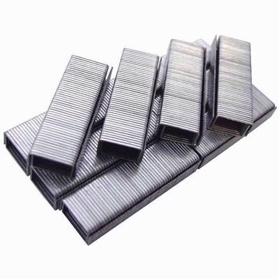 amtech-staples-6mm-1000pcs_AMTECH_STAPLES_6MM_1000PCS_.jpeg