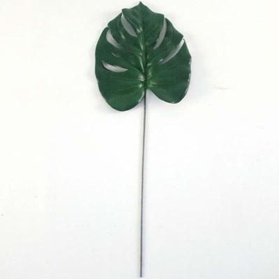 cheese-plant-leaf_CHEESE_PLANT_LEAF_.jpeg