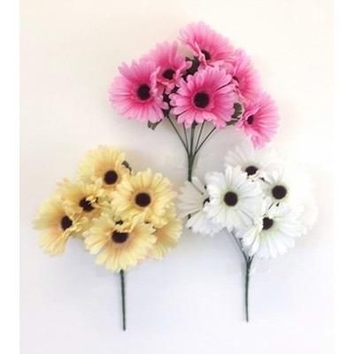gerbera-carnation-bush-mix-colours_GERBERA_CARNATION_BUSH_MIX_COLOURS_.jpeg