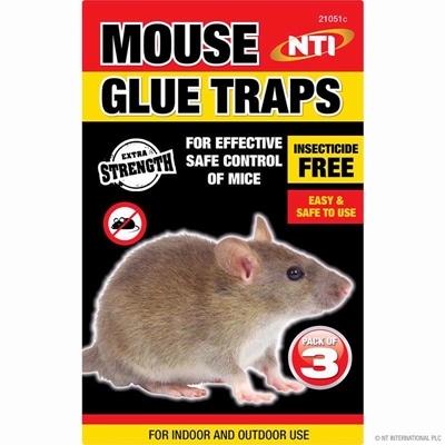 nti-mouse-glue-trap_NTI_MOUSE_GLUE_TRAP_.jpeg
